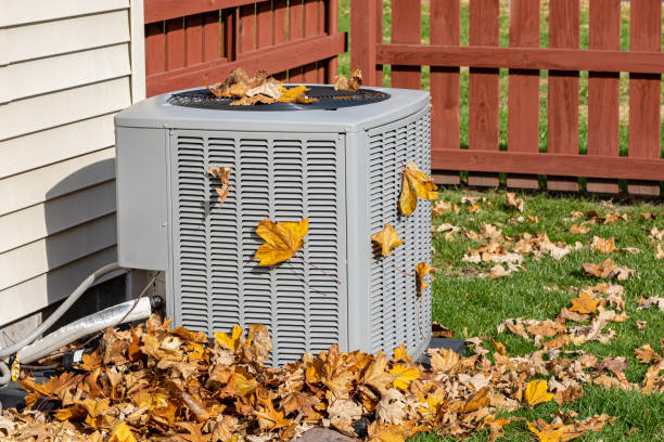 Best HVAC repair near me  in North Branch, MN